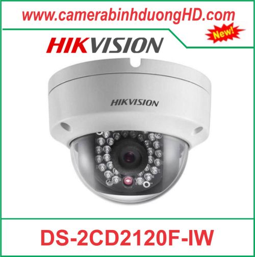 Camera quan sát DS-2CD2120F-IW