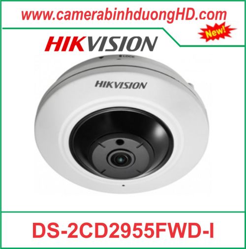 Camera quan sát DS-2CD2955FWD-I
