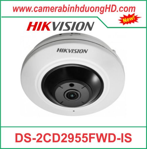 Camera quan sát DS-2CD2955FWD-IS